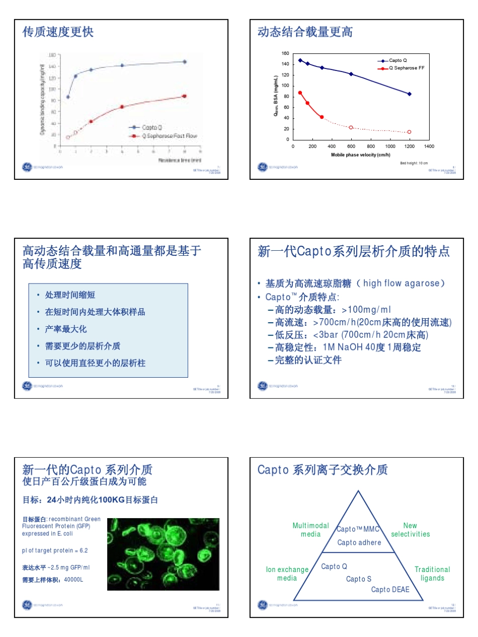 新一代层析介质Capto(丁晓萍)_第2页