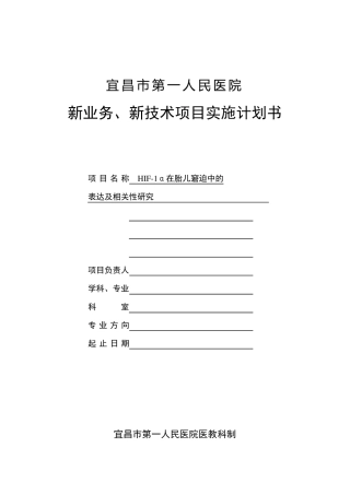 新业务新技术项目实施计划书