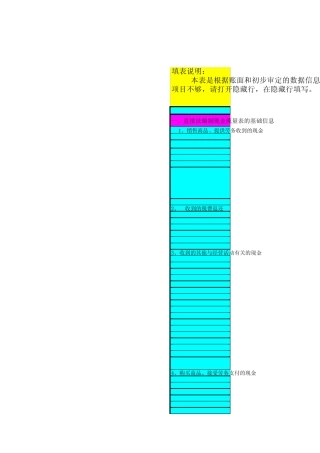 新准则现金流量表编制模板
