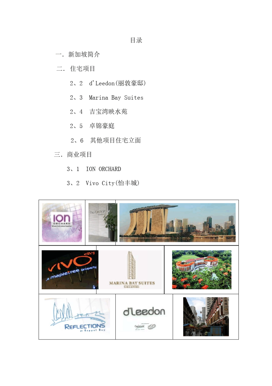 新加坡商业及住宅考察报告_第2页