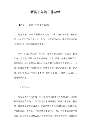 新员工年终工作总结