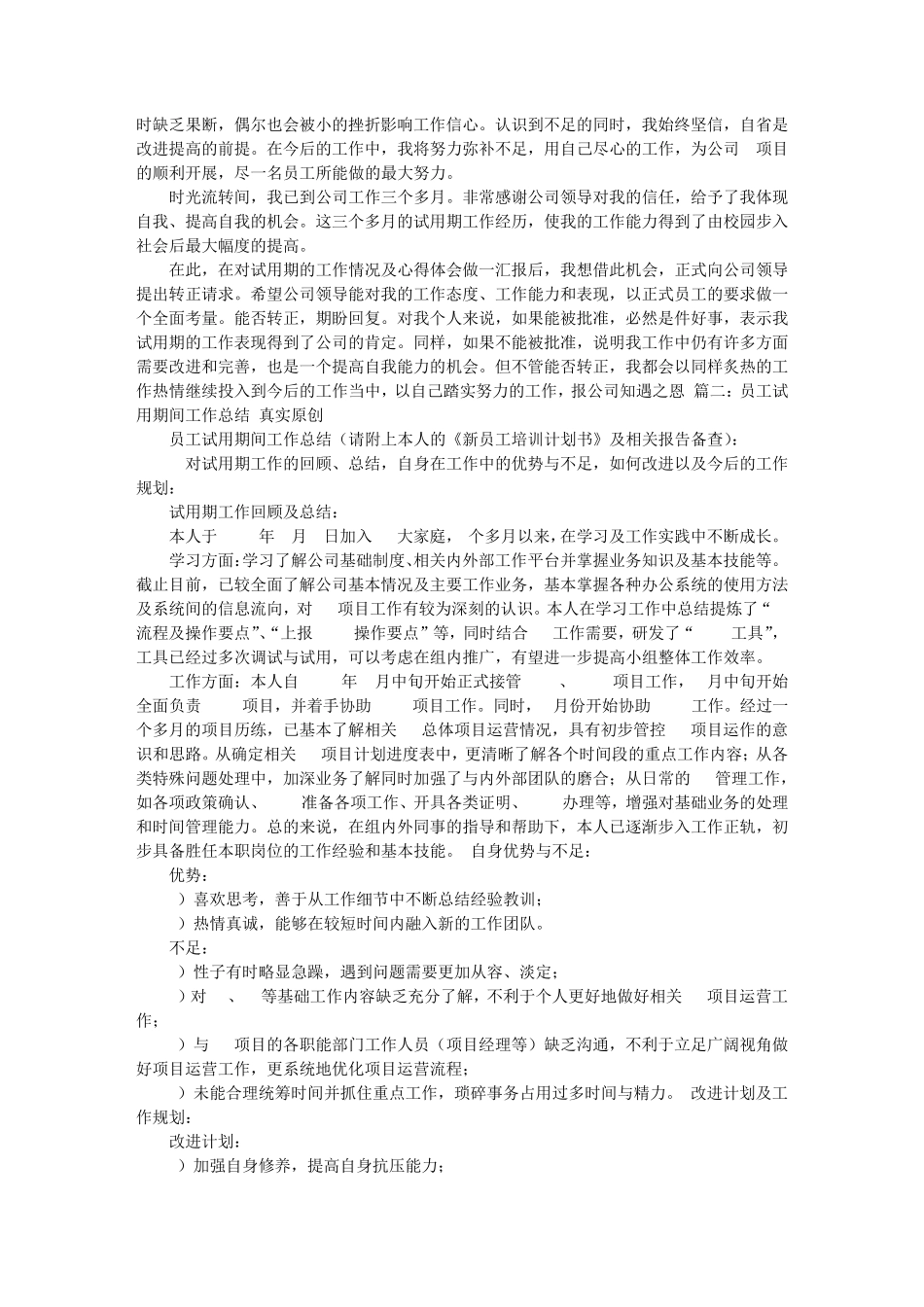 新员工试用期工作总结范文_第3页