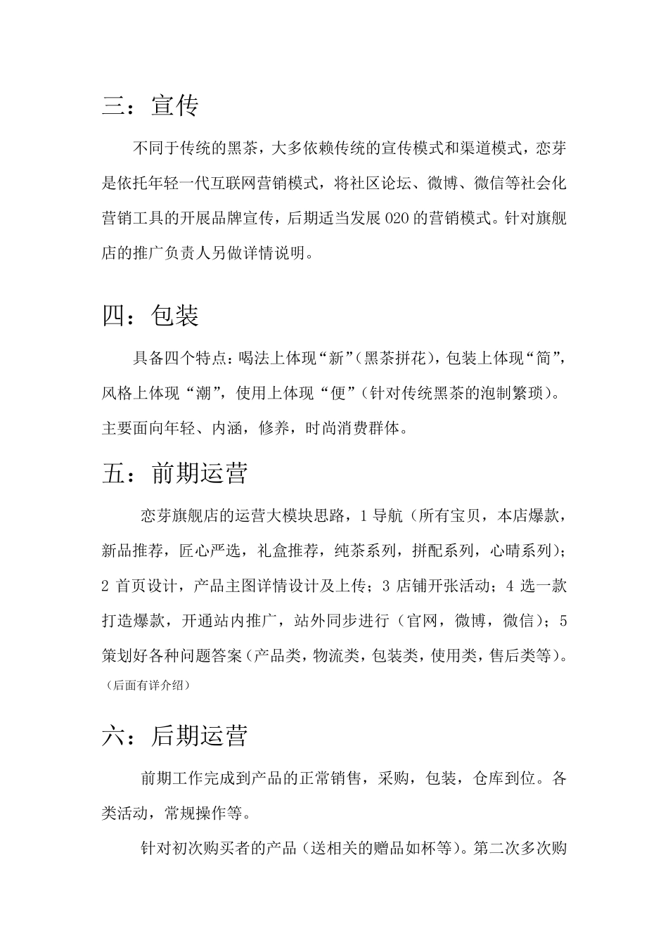 新品牌新天猫旗舰店运营计划_第2页