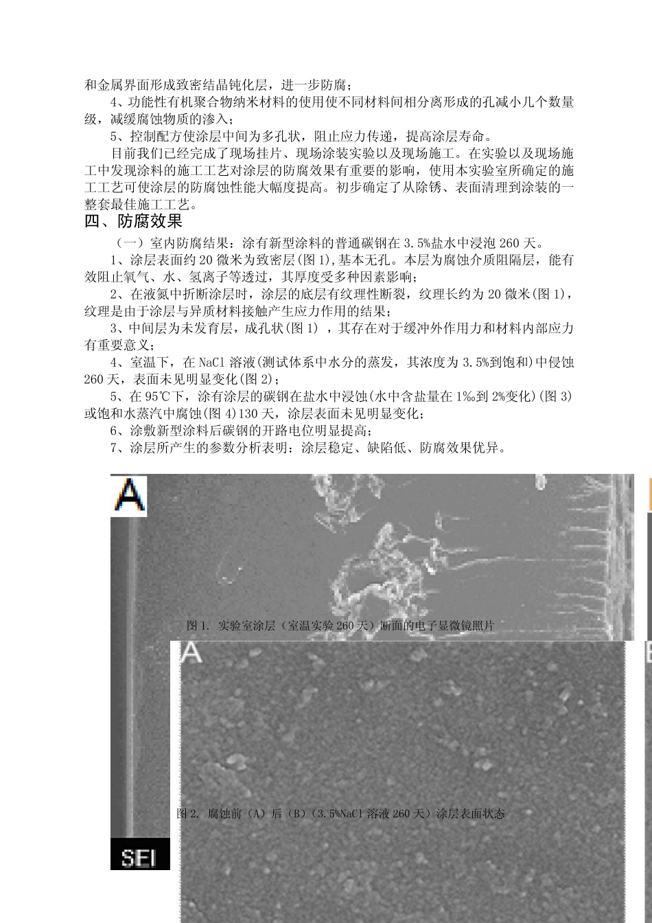 新型防腐蚀涂料_第3页