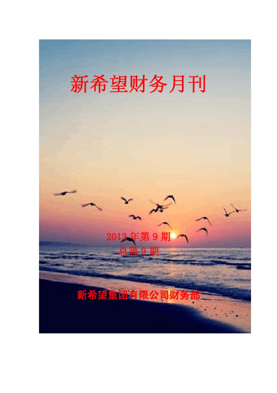 新希望集团财务月刊(201309)_第1页