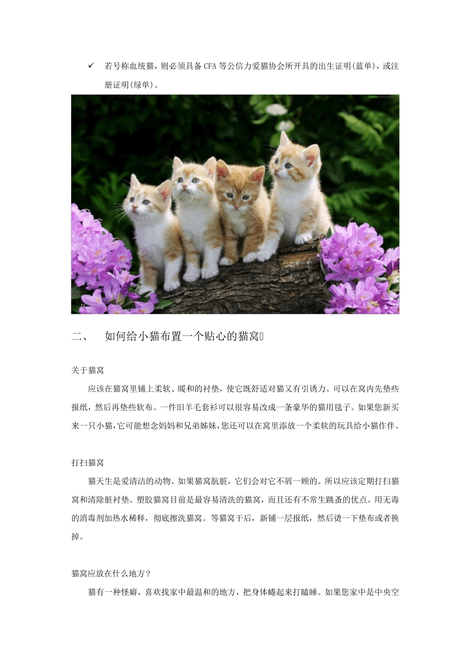 新手养猫必读手册_第2页