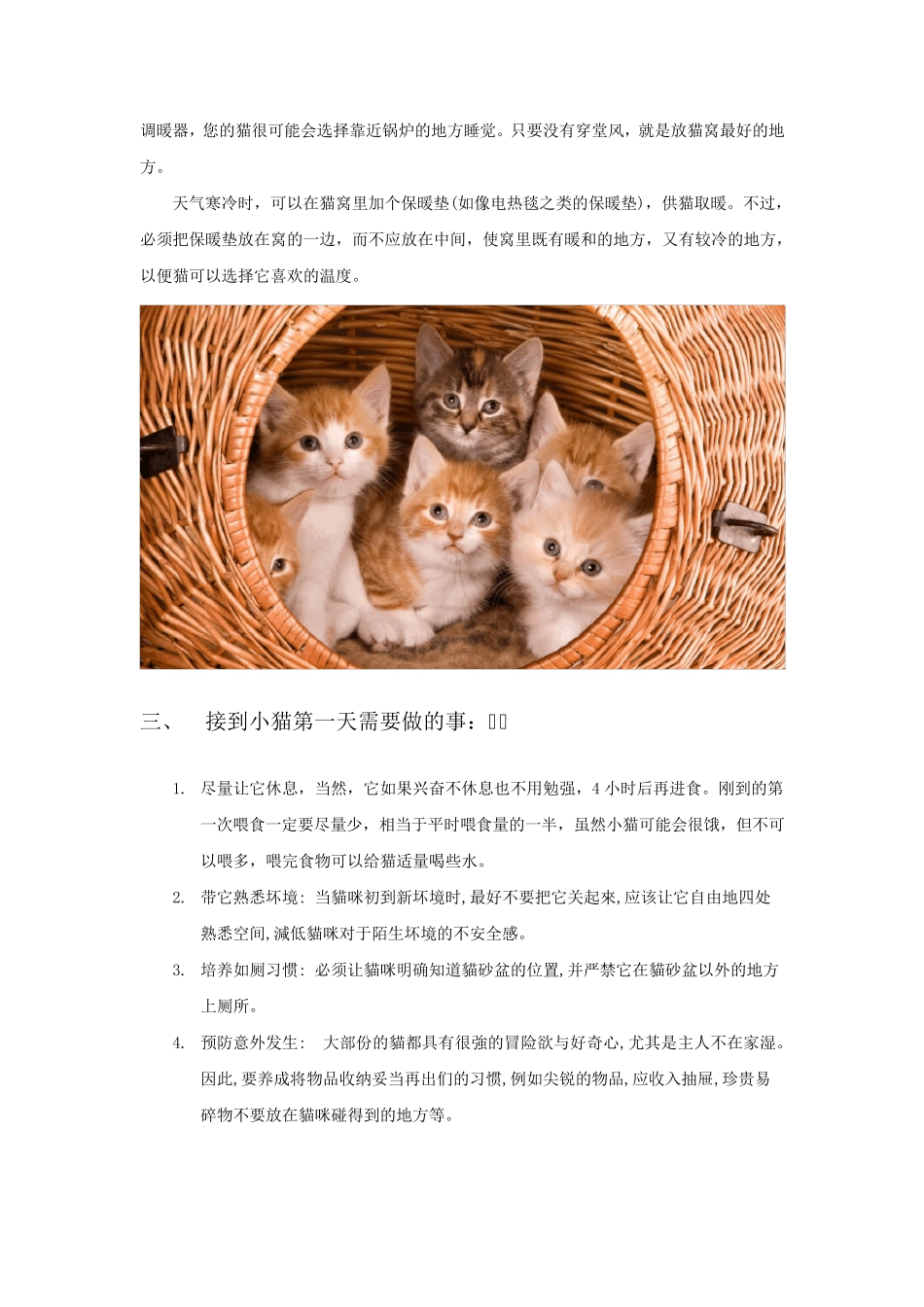 新手养猫必读手册_第3页