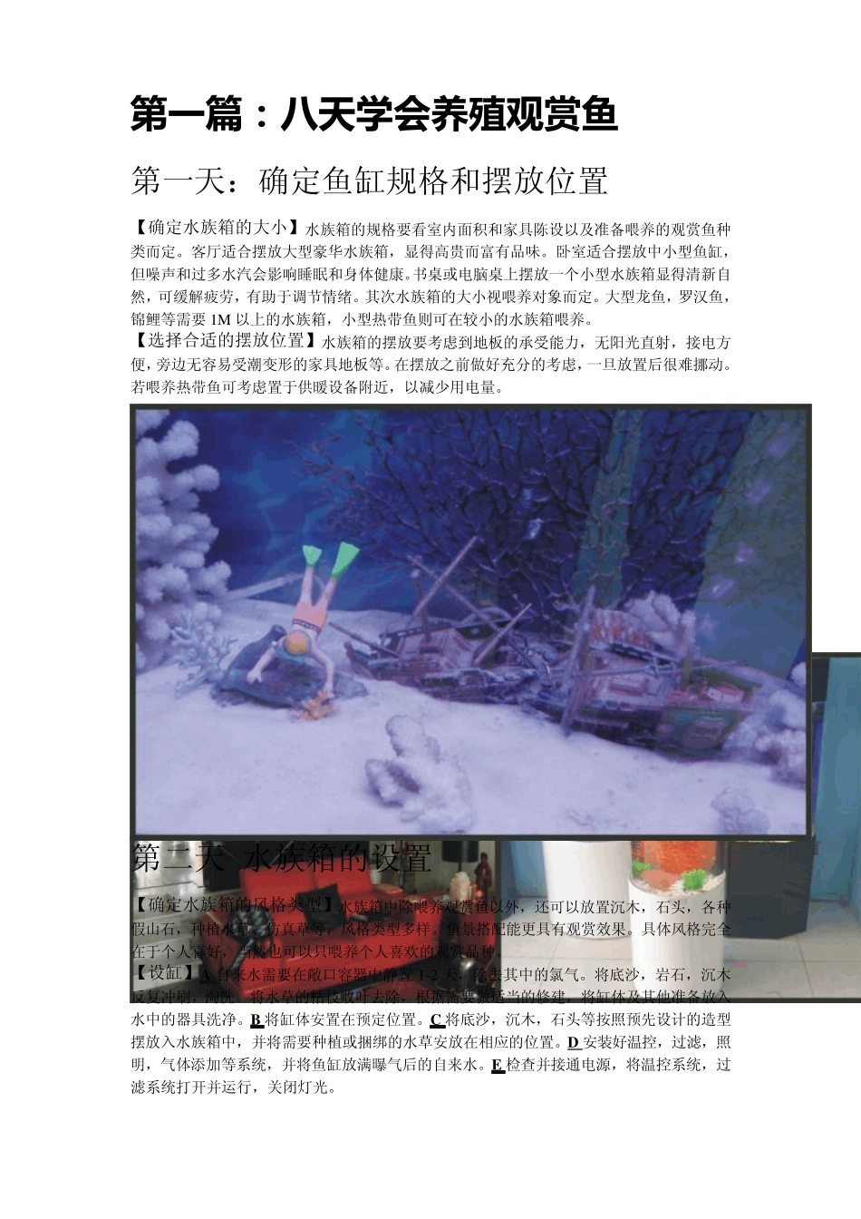 新手怎样饲养观赏鱼_第1页