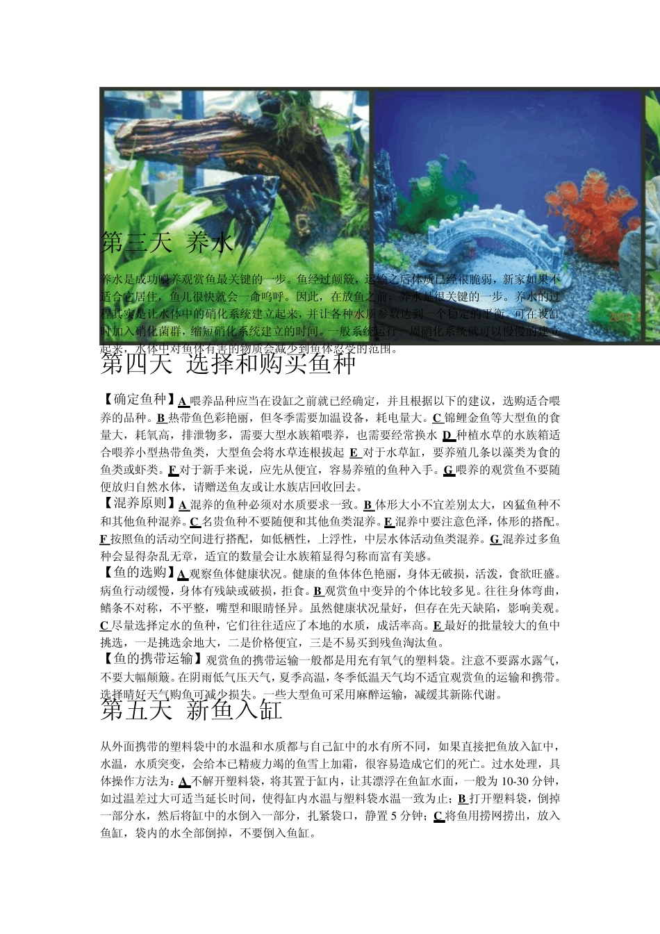 新手怎样饲养观赏鱼_第2页
