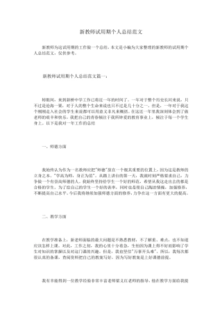 新教师试用期个人总结范文