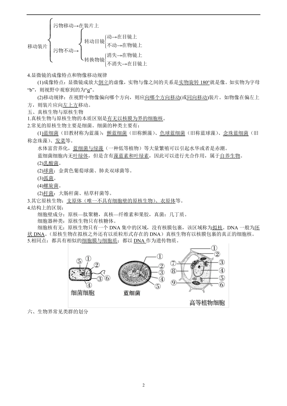新教材高中生物必修一知识点梳理_第2页