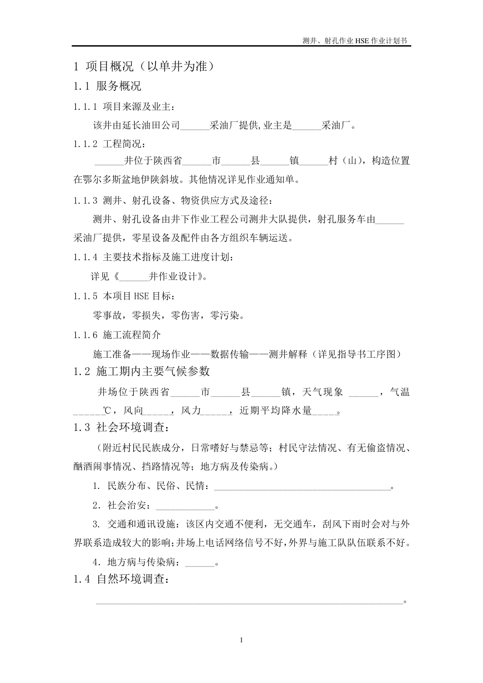 测井HSE作业计划书_第1页