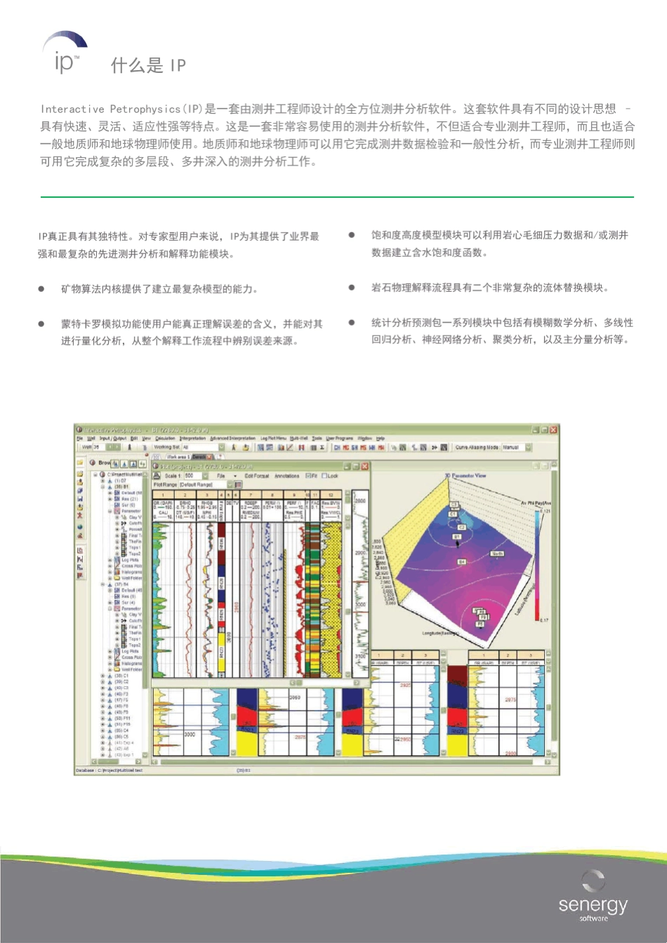 测井解释软件InteractivePetrophysics_IP_第2页