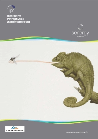 测井解释软件InteractivePetrophysics_IP
