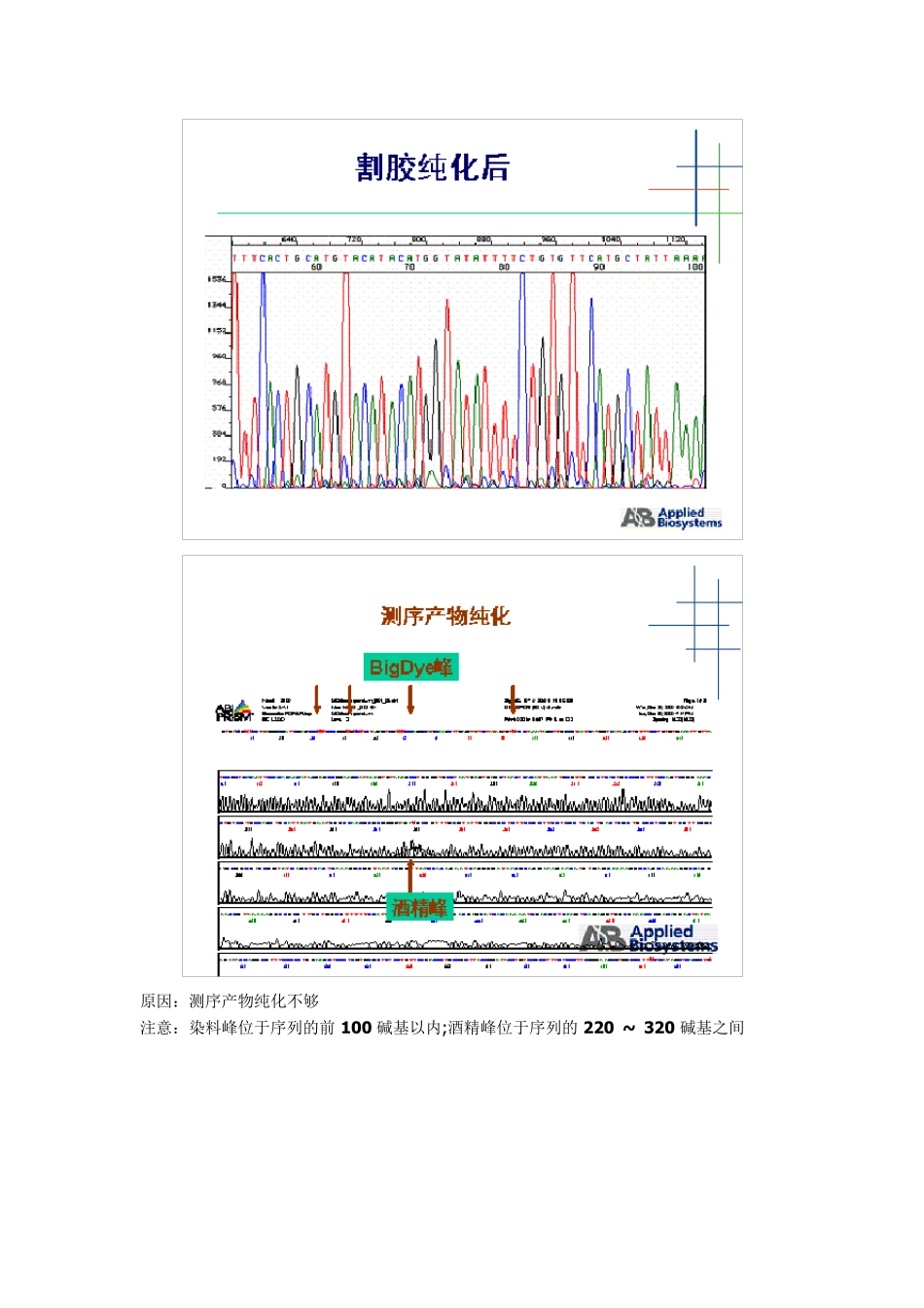 测序结果分析_第2页