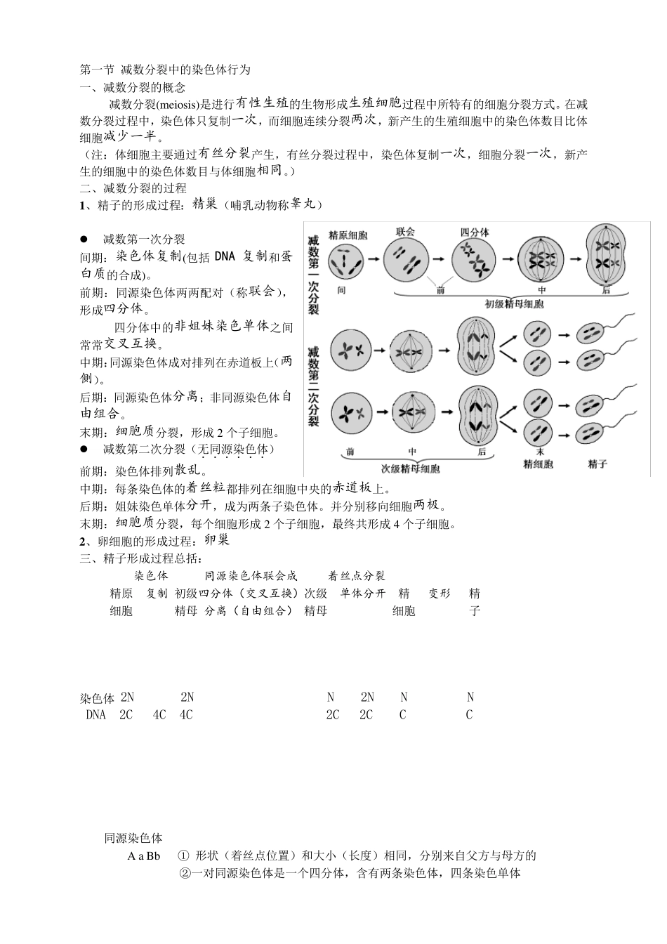 浙科版生物必修二知识点总结_第3页