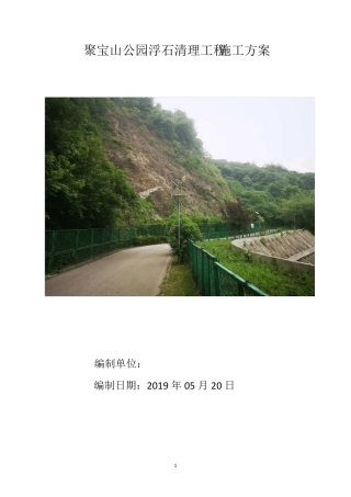 浮石清理工程施工方案