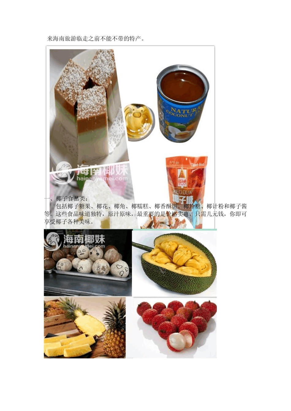 海南特产攻略大全_第1页