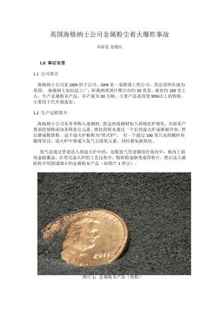 海格纳士公司铁粉着火爆炸事故