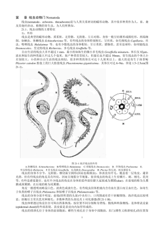 海洋生物学无脊椎动物2126