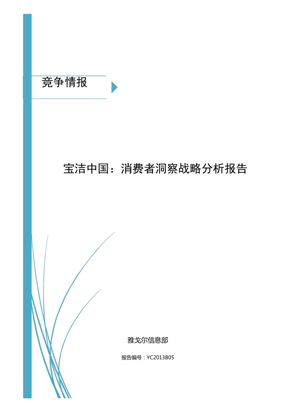消费者洞察战略分析报告_第1页