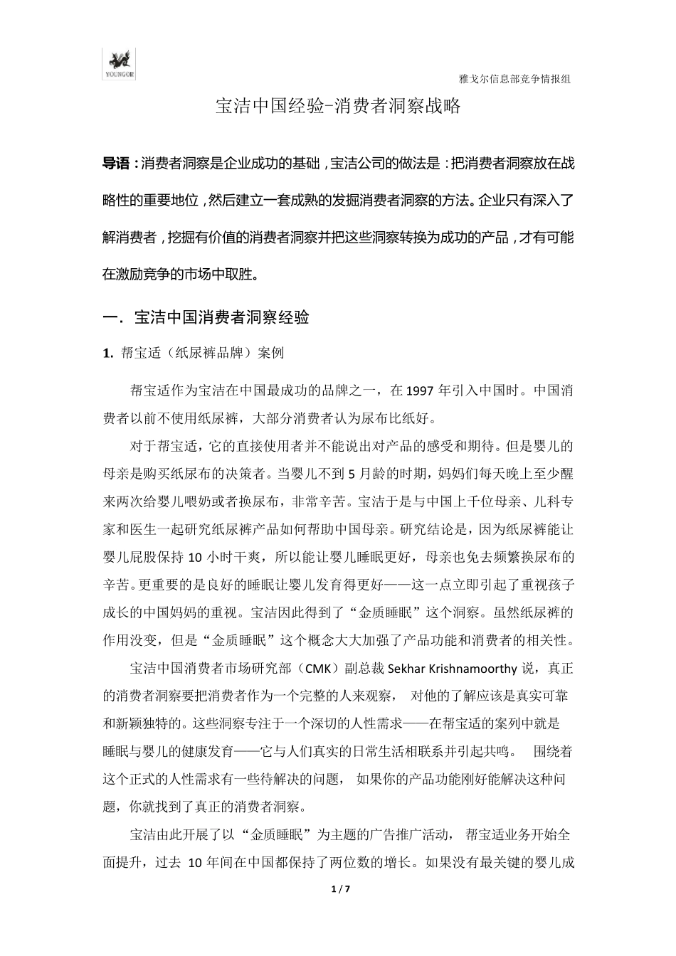 消费者洞察战略分析报告_第2页