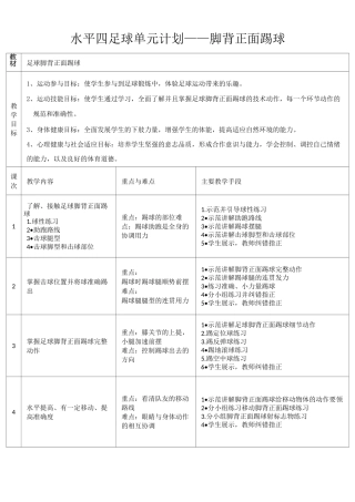 足球脚背正面踢球教案-王非