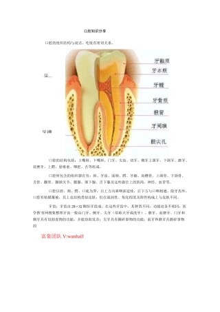 -口腔知识大全