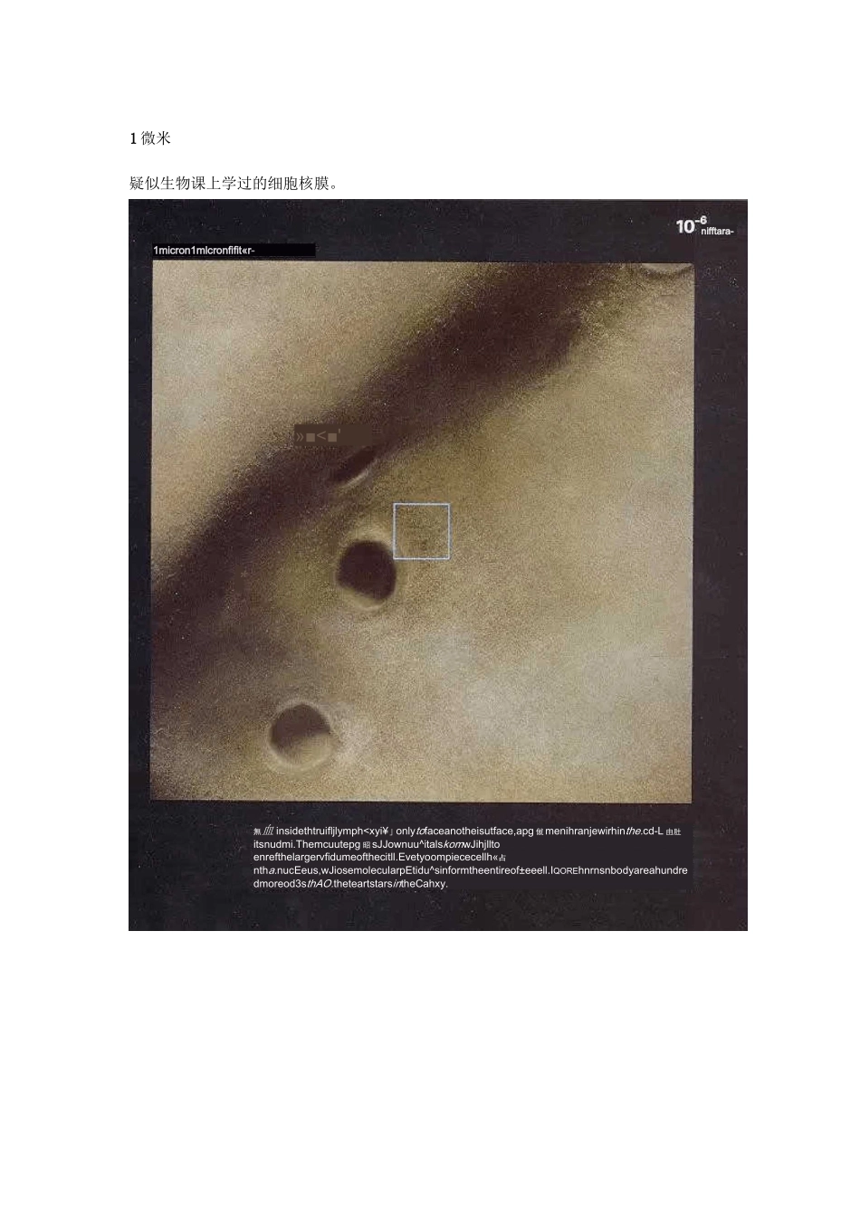 细胞及原子结构图_第2页