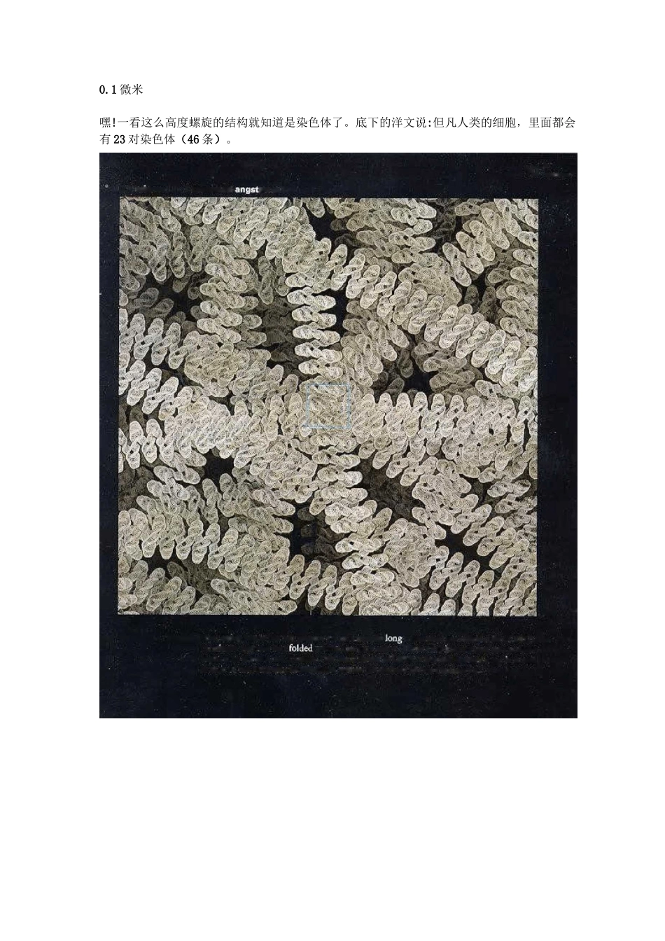 细胞及原子结构图_第3页