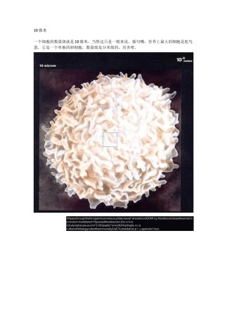 细胞及原子结构图