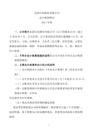 简易会计报表附注