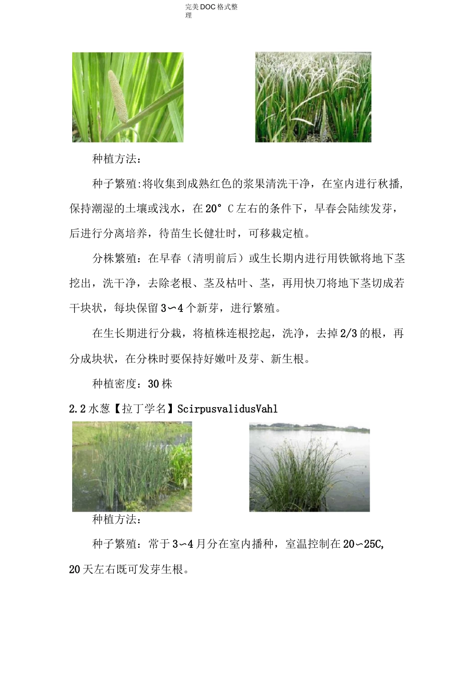 人工湿地水生植物配置以与种植方法、种植间距等_第2页