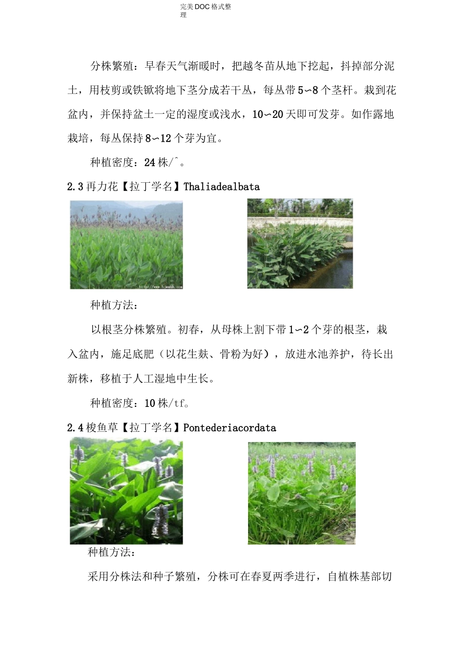 人工湿地水生植物配置以与种植方法、种植间距等_第3页