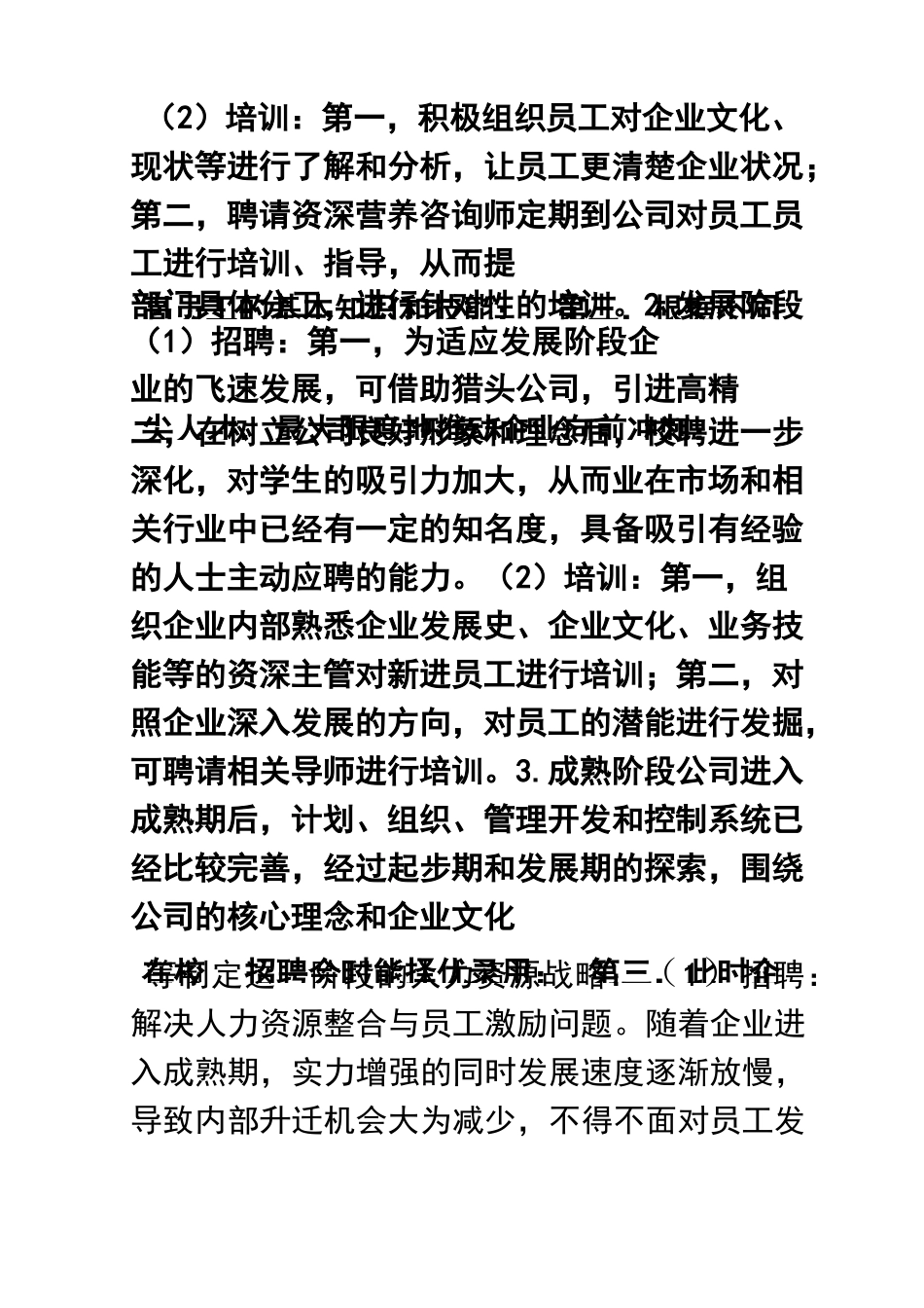人力资源管理之创业计划书——企业人力资源战略_第2页