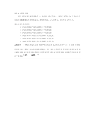 硫化碱专用蒸发器