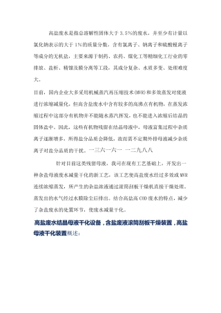 高盐废水结晶母液干化设备,含盐废液滚筒刮板干燥装置