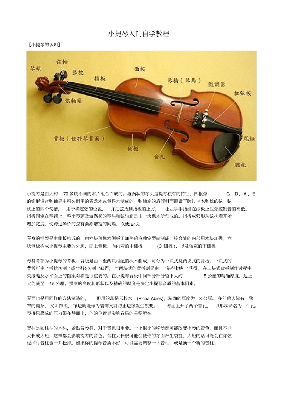 小提琴入门自学教程_第1页