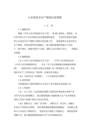 小水电安全生产事故应急预案资料