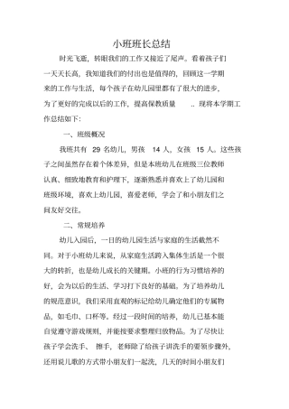 小班班长总结
