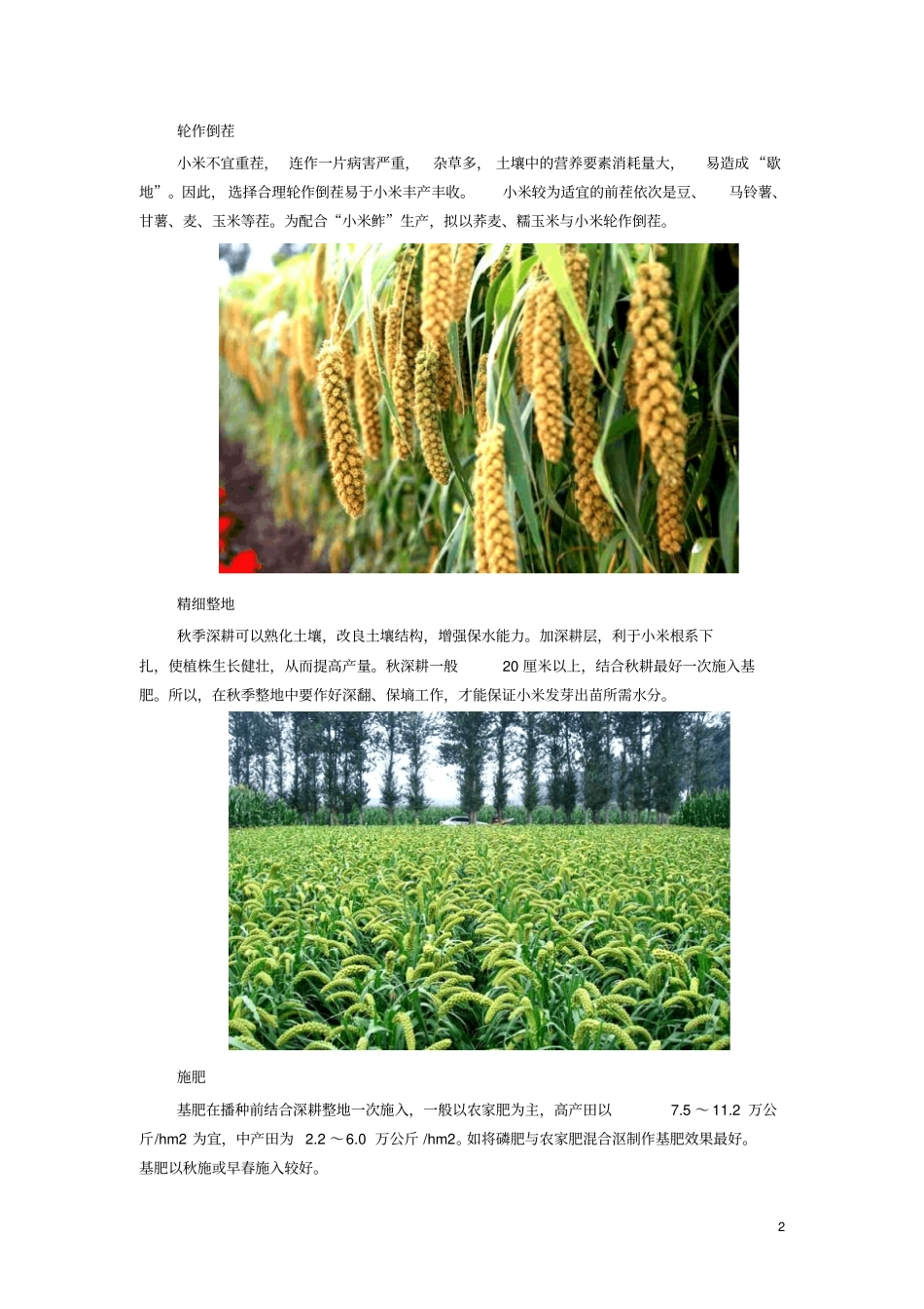 小米种植技术分析_第2页