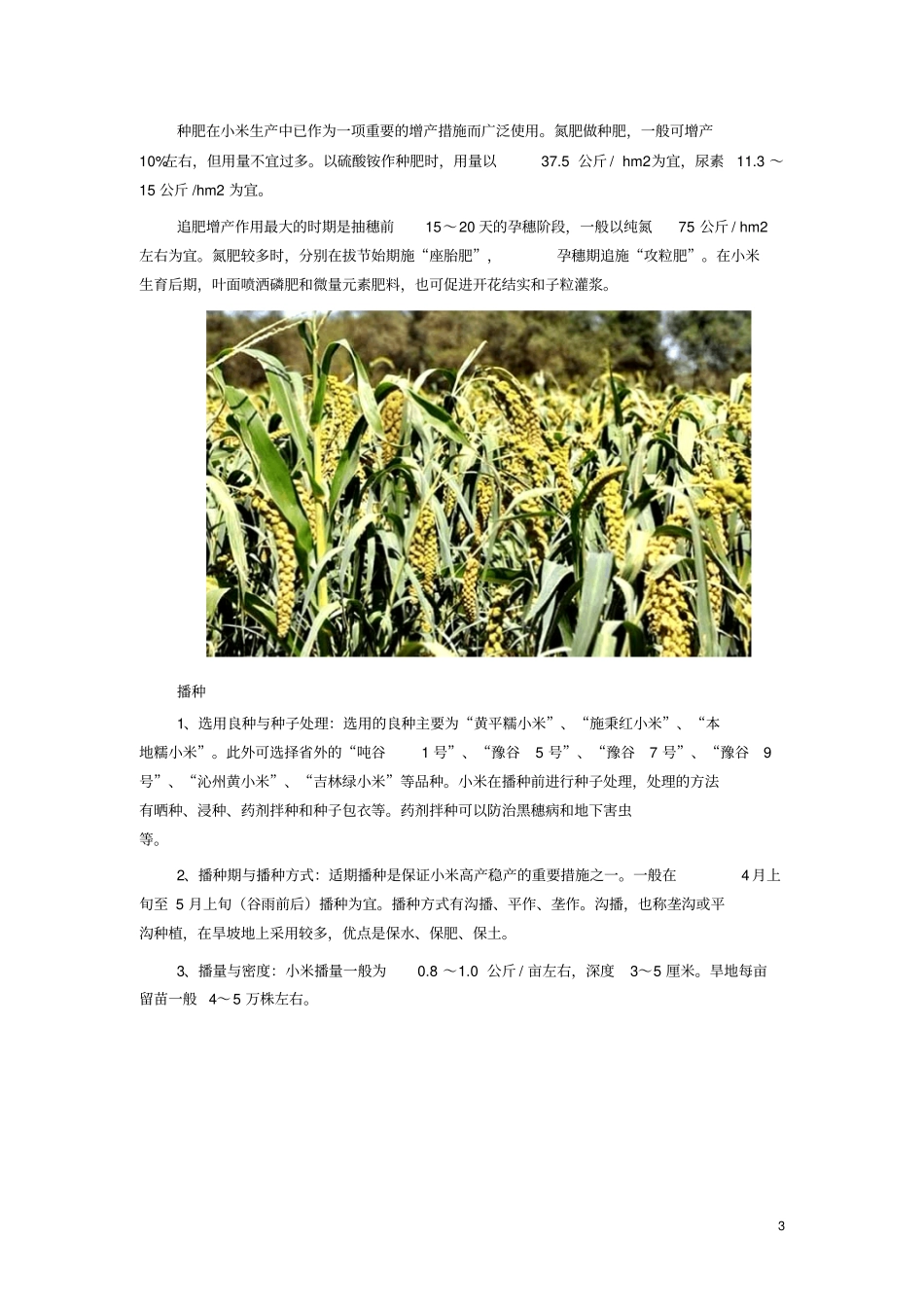 小米种植技术分析_第3页