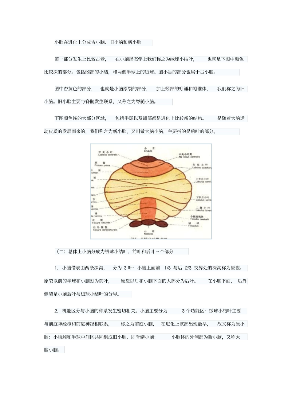 小脑的功能解剖汇总_第3页