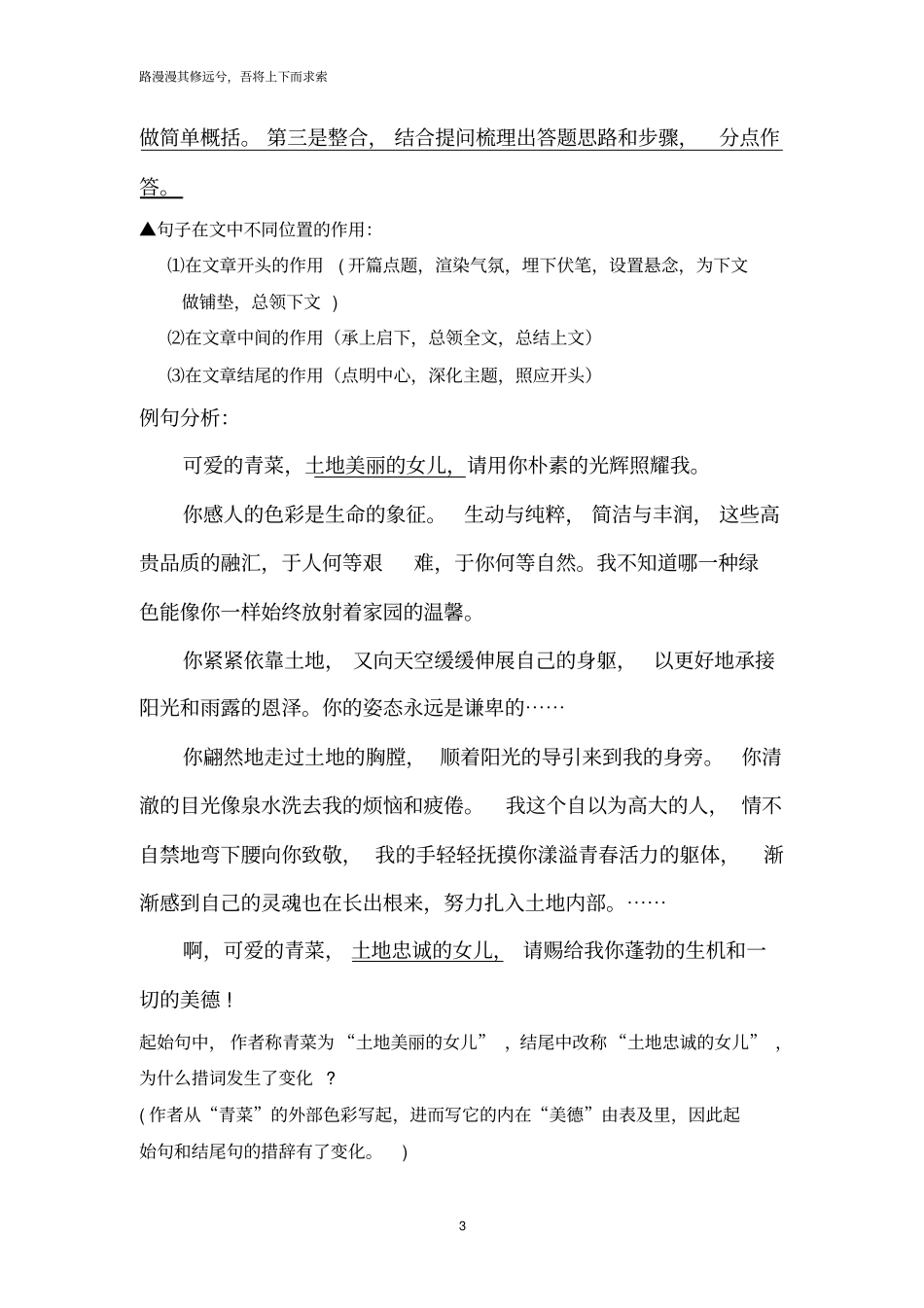 小词句大作用讲义_第3页