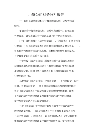 小贷公司财务分析报告