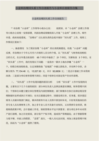小金库治理回头看工作自查报告与小金库自查报告合集