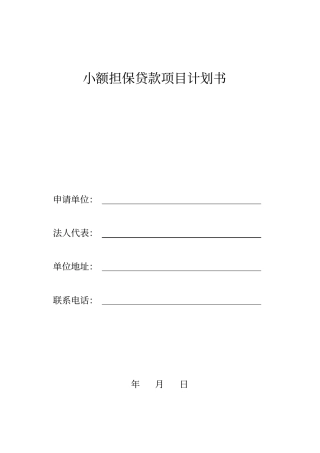 小额担保贷款项目计划书概述