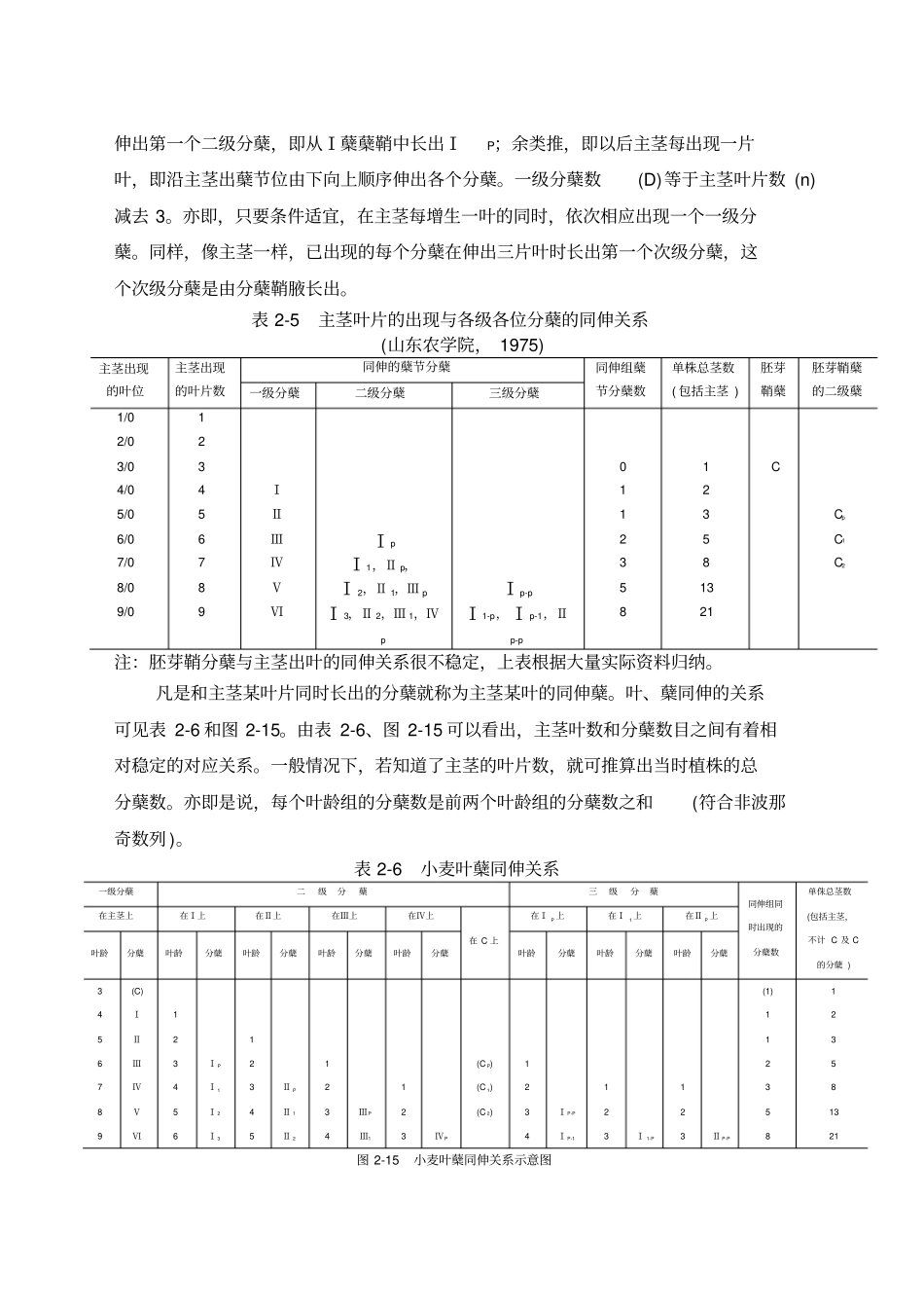 小麦分蘖规律与成穗_第3页