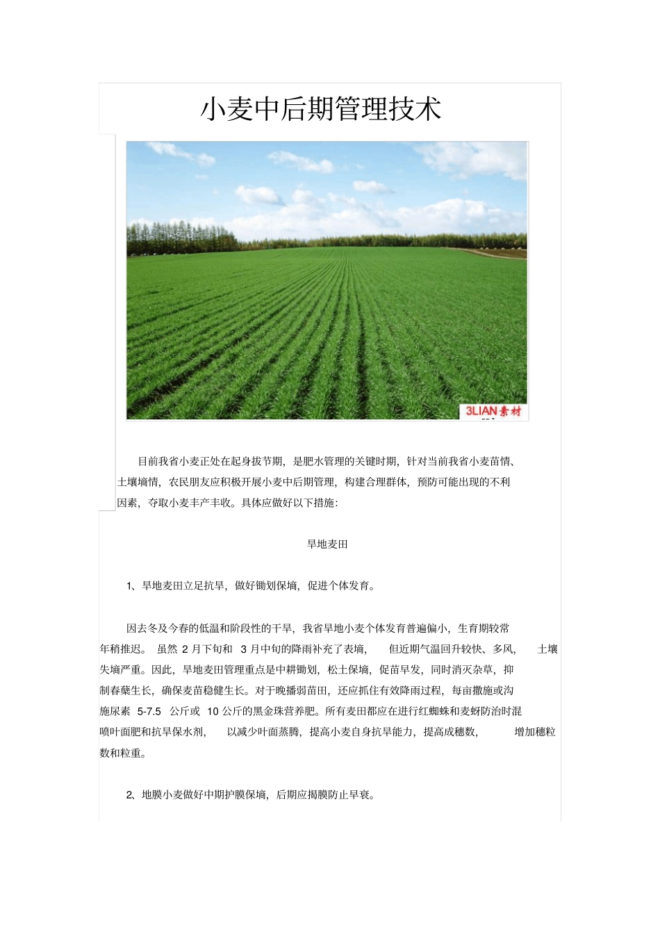 小麦中后期管理的技术_第1页