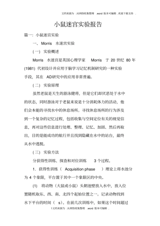 小鼠迷宫试验报告